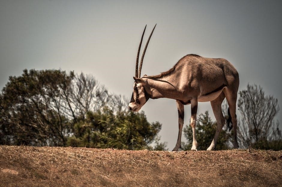 oryx and crake pdf